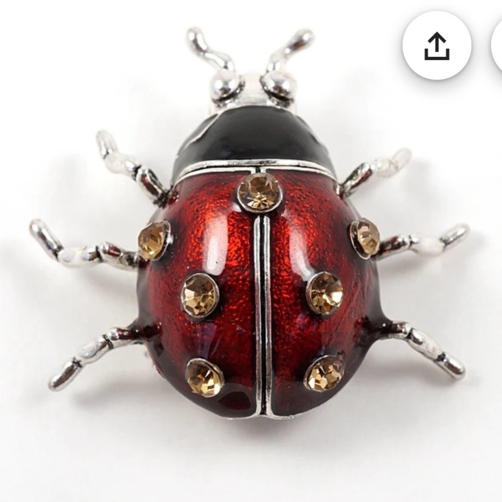 Large Ladybug Brooch, Vintage Red Lady Beetle Brooch, Big Bug Pin, Ladybird